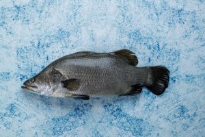 Descoperă gustul unic al peștelui sea bass australian în farfuria ta și bucură-te de o experiență culinară aparte